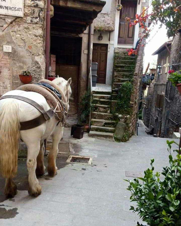 Casetta Nel Borgo Olevano Romano 外观 照片
