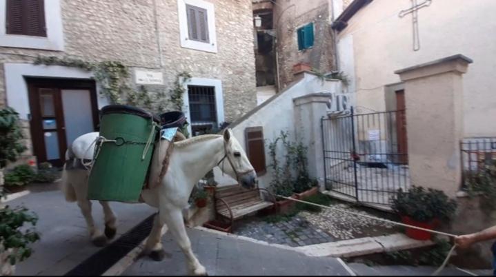 Casetta Nel Borgo Olevano Romano 外观 照片